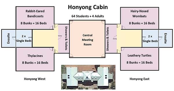 Honyong cabin layout